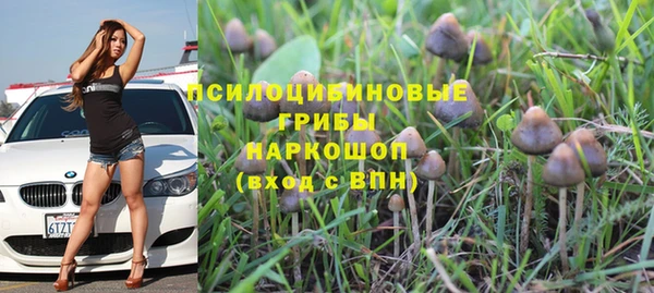 амф Белоозёрский