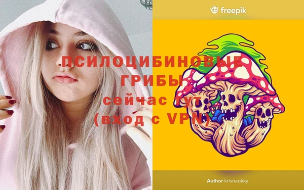 амф Белокуриха