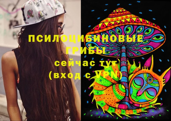 амф Белокуриха